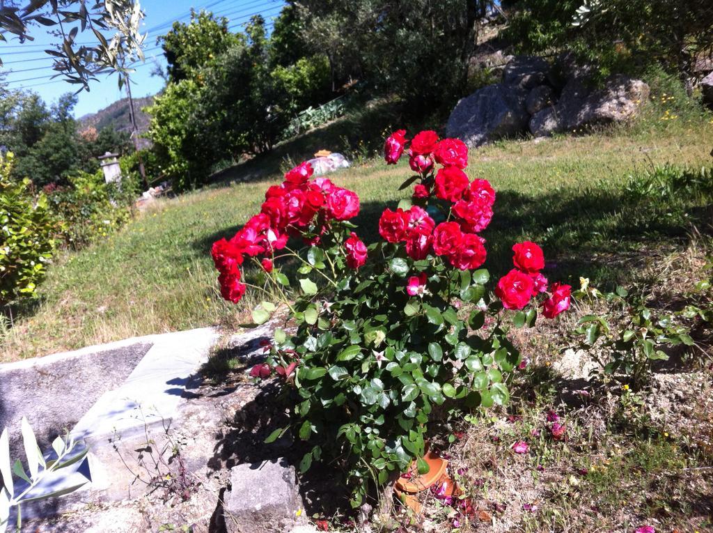 AL Vivenda Romantica Geres Esterno foto